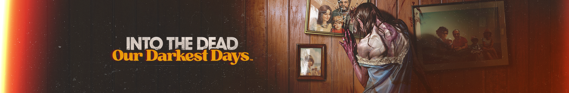 drs_banner_with_logo.png